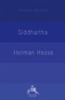 Herman Hesse - Siddhartha