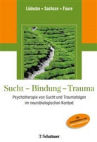 Faur, Hendrik Faure, Christe Lüdecke, Christel Lüdecke, Professor Ulrich Sachsse, Ulric Sachsse... - Sucht - Bindung - Trauma