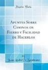 Juan Andre´s Zambrano, Juan Andrés Zambrano - Apuntes Sobre Caminos de Fierro y Facilidad de Hacerlos (Classic Reprint)