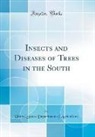 United States Department Of Agriculture - Insects and Diseases of Trees in the South (Classic Reprint)