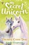 Linda Chapman - My Secret Unicorn: Dreams Come True