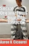CICOUREL, Aaron Cicourel, Aaron V. Cicourel - Social Organization of Juvenile Justice