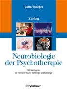 Günter Schiepek, Günte Schiepek, Günter Schiepek - Neurobiologie der Psychotherapie