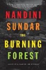 Nandini Sundar, Nandini Sundar, Sundar Nandini - Burning Forest
