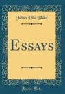 James Vila Blake - Essays (Classic Reprint)