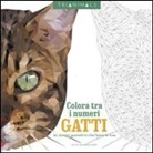 Cetin C. Karaduman - Gatti. 60 disegni geometrici che fanno le fusa. Colora tra i numeri