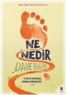Dave Eggers - Ne Nedir