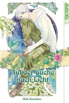 Shiki Kawabata - Auf der Suche nach Licht. Bd.3