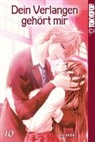 Ai Hibiki - Dein Verlangen gehört mir. Bd.10