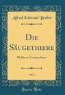 Alfred Edmund Brehm - Die Säugethiere, Vol. 3