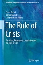Pierre Auriel, Olivie Beaud, Olivier Beaud, Carl Wellman - The Rule of Crisis