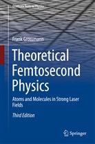 Frank Grossmann - Theoretical Femtosecond Physics