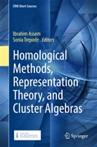 Ibrahi Assem, Ibrahim Assem, Trepode, Trepode, Sonia Trepode - Homological Methods, Representation Theory, and Cluster Algebras