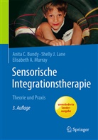 Anita Bundy, Anita C Bundy, Anita C. Bundy, Shelly Lane, Shelly J Lane, Shelly J. Lane... - Sensorische Integrationstherapie