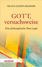 Wilhelm Schmidt-Biggemann - Gott, versuchsweise