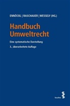 Danie Ennöckl, Daniel Ennöckl, Nicola Raschauer, Nicolas Raschauer, Wolfga Wessely, Wolfgang Wessely... - Handbuch Umweltrecht