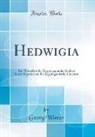 Georg Winter - Hedwigia