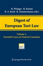 Bernhard A. Koch, Helmut Koziol, Bénédict Winiger - Essential Cases on Natural Causation