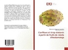 Ramarojaona Miran Ranivoarimalala, Ramarojaona Mirana Ranivoarimalala, Razafindratovo, Valérie Razafindratovo - Confiture et sirop élaborés à partir de fruits de raketa d'Analamanga