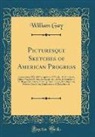 William Gay - Picturesque Sketches of American Progress