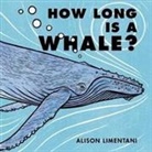 Alison Limentani - How Long Is a Whale?