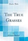 Eduard Hackel - The True Grasses (Classic Reprint)