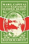 David Harvey - Marx, Capital and the Madness of Economic Reason
