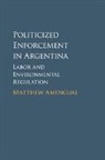 Matthew Amengual, Matthew (Massachusetts Institute of Tech Amengual, Matthew (Massachusetts Institute of Technology) Amengual, Amengual Matthew - Politicized Enforcement in Argentina