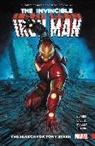 Brian Michael Bendis, Stefano Caselli, Adi Granov, Alex Maleev, Marvel Various, Stefano Caselli... - Invicible Iron Man