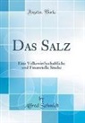 Alfred Schmidt - Das Salz
