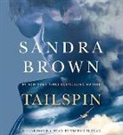 Sandra Brown, Victor Slezak - Tailspin (Audiolibro)