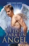 Pedro Reyes Ginori - Nido para un ángel
