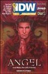 Angel. IDW collection