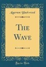 Algernon Blackwood - The Wave (Classic Reprint)