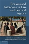 George Rodriguez-Blanco Pavlakos, George Pavlakos, Pavlakos George, Veronica Rodriguez-Blanco, Veronica (University of Birmingham) Rodriguez-Blanco, Rodriguez-Blanco Veronica - Reasons and Intentions in Law and Practical Agency