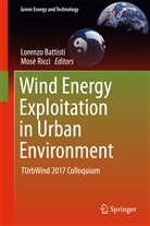 Lorenz Battisti, Lorenzo Battisti, Ricci, Ricci, Mosè Ricci - Wind Energy Exploitation in Urban Environment