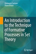 Domenic Cantone, Domenico Cantone, Pietro Ursino - An Introduction to the Technique of Formative Processes in Set Theory