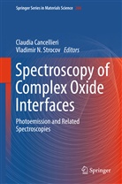 Claudi Cancellieri, Claudia Cancellieri, N Strocov, N Strocov, Vladimir Strocov, Vladimir N. Strocov - Spectroscopy of Complex Oxide Interfaces