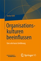 Stefan Kühl - Organisationskulturen beeinflussen