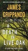 James Grippando, Grippando James - A Death in Live Oak