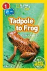 Shira Evans, National Geographic Kids - Tadpole to Frog (National Geographic Kids Readers, Level 1/Co-Reader)