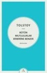 Lev Nikolayevic Tolstoy - Bütün Mutluluklar Birbirine Benzer