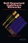 Yoshimura, Tetsuzo Yoshimura, Tetsuzo (Tokyo University of Technology Yoshimura, Yoshimura Tetsuzo - Self-Organized Lightwave Networks