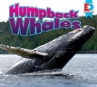 Coming Soon, Heather Dilorenzo Williams, Heather Kissock - Humpback Whales