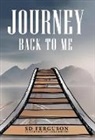 Sd Ferguson - Journey Back to Me