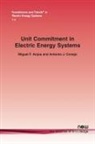Miguel Anjos, Miguel F. Anjos, Antonio Conejo, Antonio J. Conejo - Unit Commitment in Electric Energy Systems