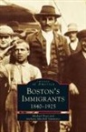 Michael Price, Anthony Mitchell Sammarco - Boston's Immigrants