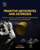 Abreu, Neyda M. Abreu, Neyda M. (EDT) Abreu, Neyda M. Abreu, Neyda M. (Associate Professor Abreu, Neyda M. Abreu - Primitive Meteorites and Asteroids