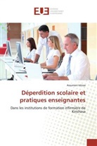 Assumani Idrissa - Déperdition scolaire et pratiques enseignantes
