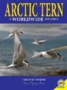 Rebecca Hirsch - Arctic Terns: A Worldwide Journey